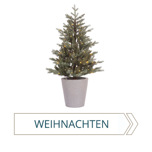 Weihnachten-Kategorie