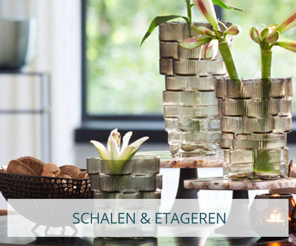 Schalen-Mobil_1