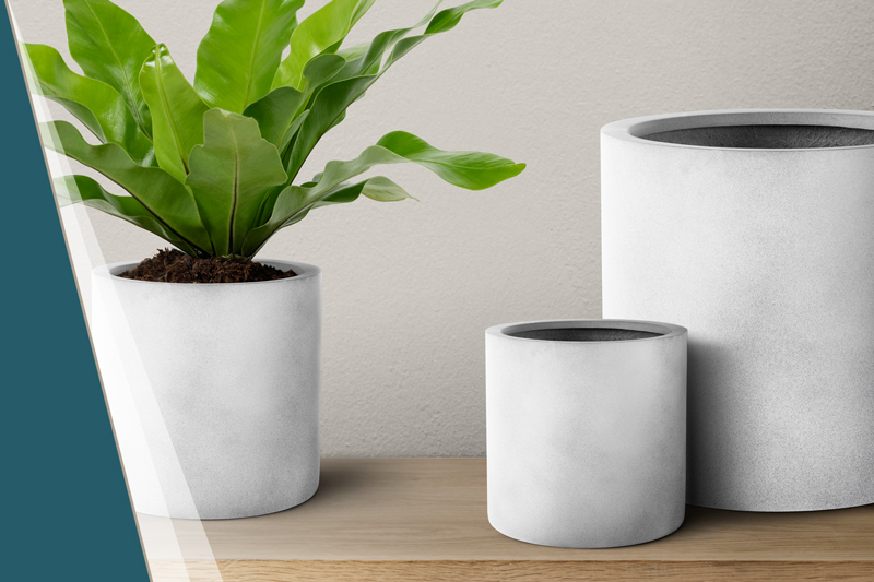 Pflanzkorb-Fiberstone-SEO-Text