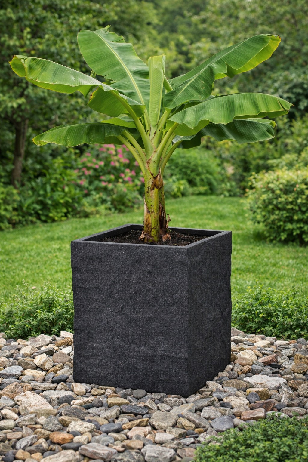 Pflanzgefäß The Rock Pflanzkasten Blumenkasten 53x50 cm Steinoptik Anthrazit