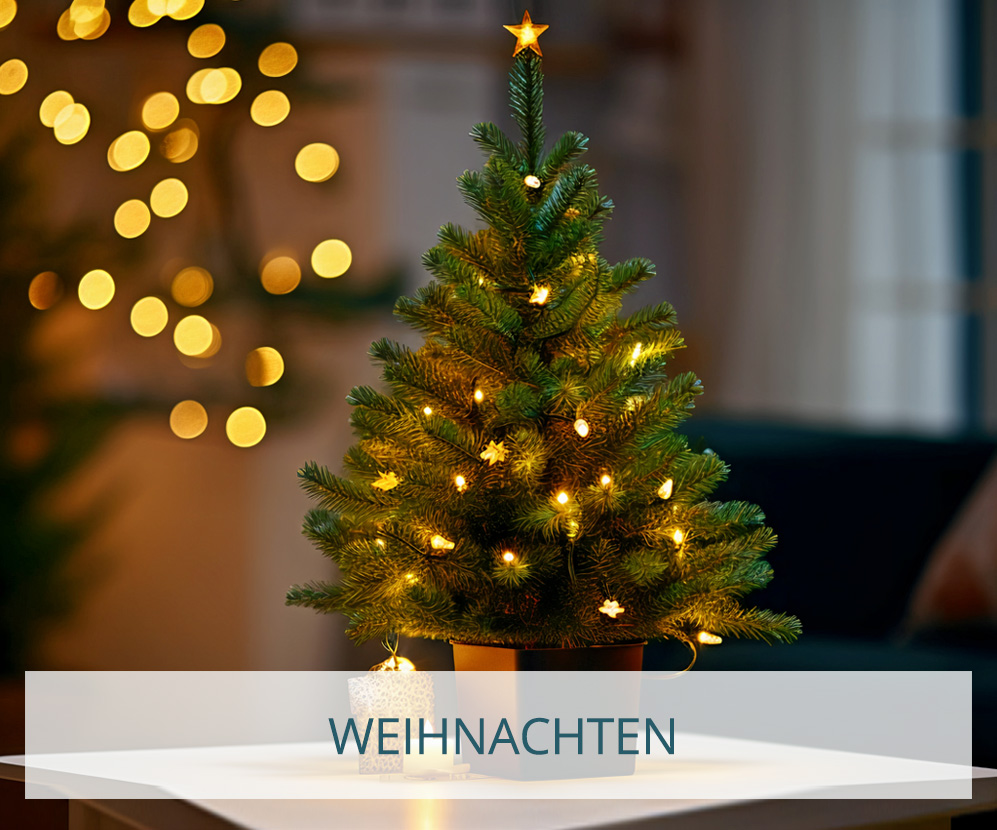Weihnachten-Mobil_1